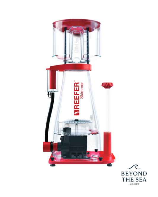 Red Sea Reefer Skimmers – RSK-300 / RSK-600 / RSK-900