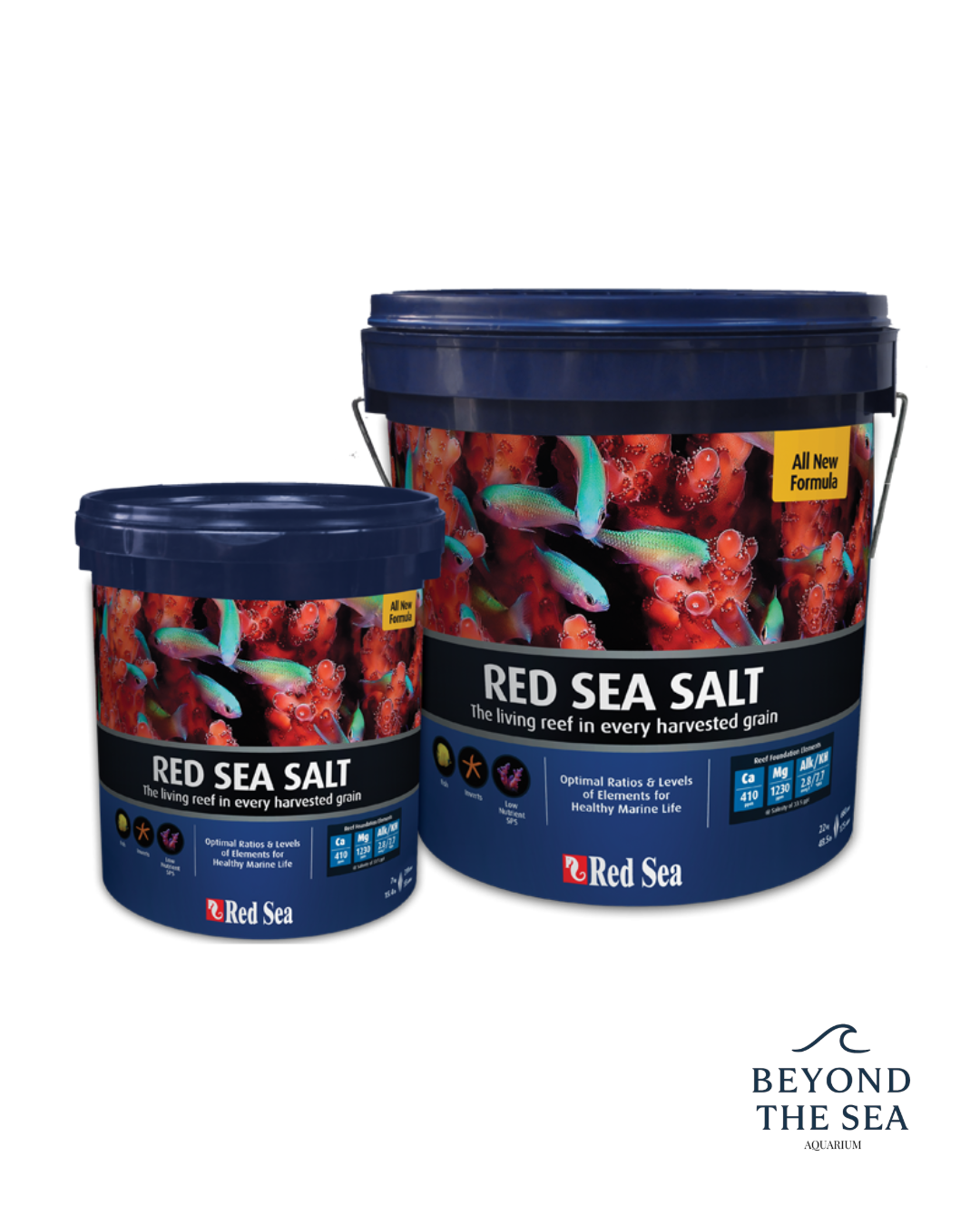 Sal Red Sea