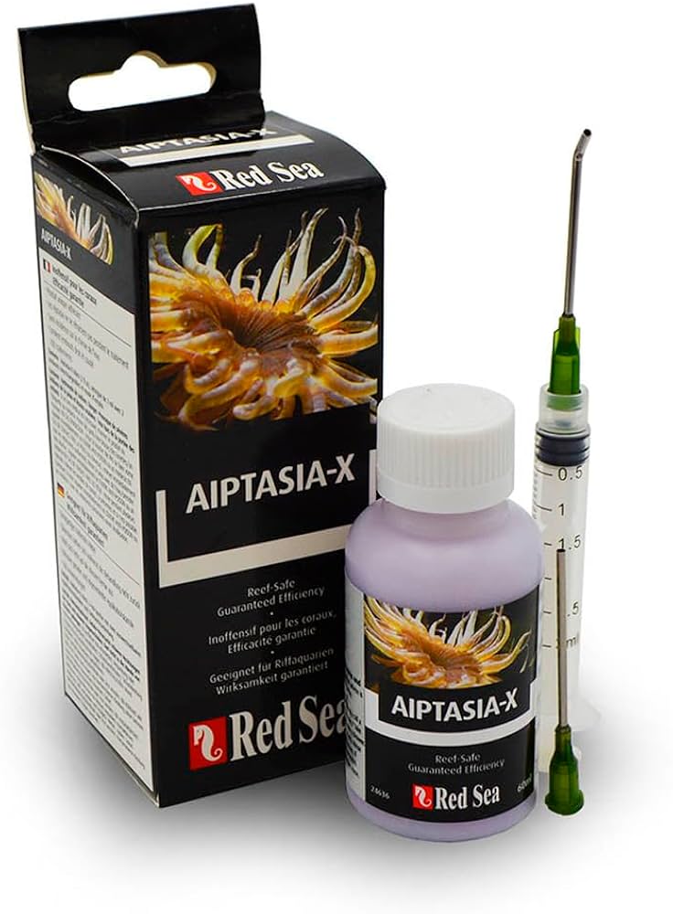 Red Sea  Aiptasia-X