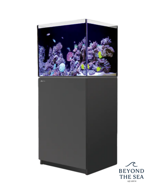 Red Sea REEFER 170 G2+